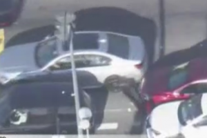 30 годишна жена устрои автородео на полицията в Лос Анджелис Тя