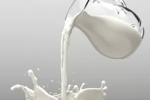 Производители масово "пудрят" прясното мляко