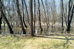 В новооткрития Западен парк след дъжд ще се влиза с ботуши