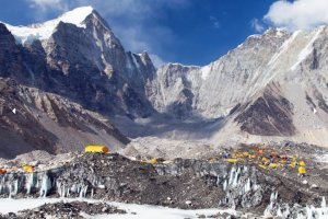 За първи път след повече от година хлопатарите на яковете