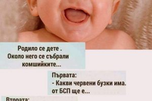 Социалните мрежи не пропуснаха да коментират изборните резултатите с много