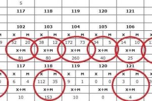 Свръхобемистите протоколи с изборните резултати които трябваше да попълват секционните