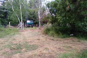 Защитниците на старозагорския парк Бедечка възроптаха днес срещу бездействието на