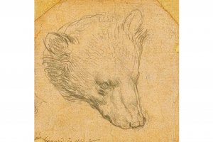 Рисунка на Леонардо до Винчи с размери 7 на 7