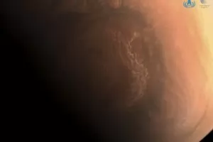 Китайски безпилотен апарат кацна успешно на Марс