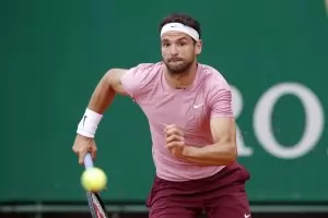 Световният елит за Григор Димитров: Елегантен, гъвкав, красив, къдрав