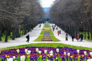 Нови 6 декара от местността Салтанат във Варна се оказаха в