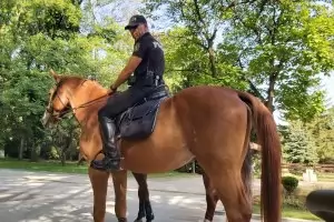 МВР към Фандъкова: Паветата ще изчезнат след толкова протести!