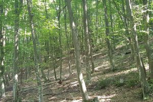 Жители на няколко села от област Стара Загора блокираха днес подбалканския