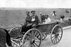  МЕРЗОСТ НА ЗАПУСТЕНИЕТО Терасата към тризонета на Пламен георгиев която