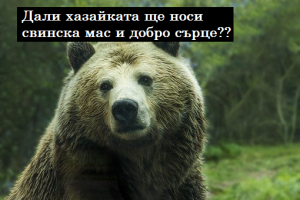 МЕЧЕШКА УСЛУГА Нов изненадващ стъписващ и гениален предизборен ход на