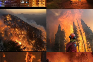 Хиляди пожарникари се борят с горските пожари в села и