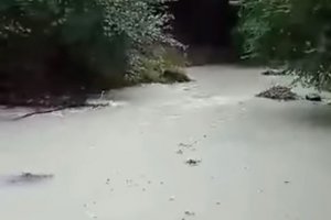 За поредна замърсена река в България сигнализираха деятелите от риболовен