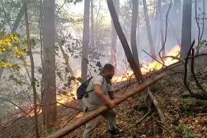 Родопско село отчаяно зове за доброволци срещу пожар