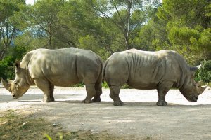 След изтичането на пълния управленски мандат от 4 години на