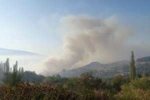 Голям пожар избухна над Водната кула в Карлово Пламъците са обхванали