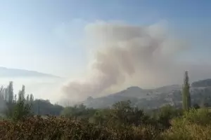 Локализираха пожара над Карлово