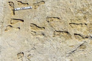 Археолози провеждащи изследвания в Уайт Сандс САЩ са идентифицирали най