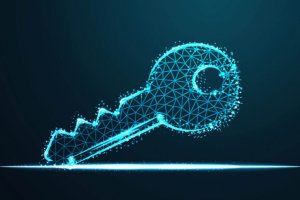 Ако сте забравили ключовете от колата си у дома няма