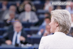 Докато се упражнява да гласува България губи посока и се