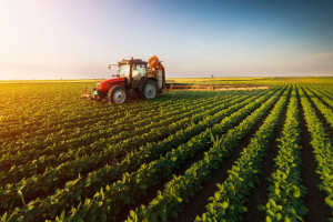 За поредна година Държавен фонд Земеделие хвана хиляди фермери в