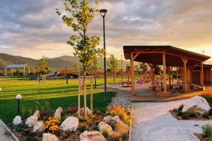 Бирена революция е терминът тръгнал първо от САЩ през 80 те