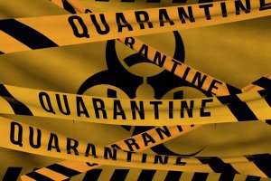 Заради ковид пандемията пътуванията на българите в чужбина силно намаляха През