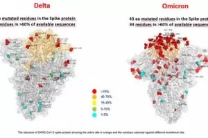 Успокоение от РЮА: "Омикрон" не е чак толкова опасен