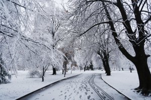 Снегът в София започна да вали изведнъж На терен са