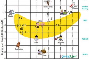 Музиката е най сложната организация на звука и най високоорганизираната човешка дейност