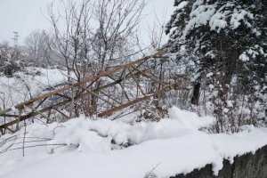 От днес министърът на енергетиката Александър Николов въвежда ограничителен режим за