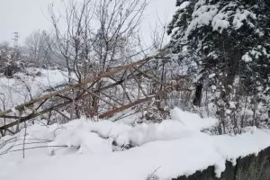 Въведен е режим на тока в някои райони на България