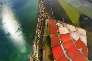 Изграждане на ниски хотели и бизнес тех парк се предвижда