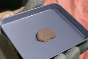 Реставраторката от Ермитажа Галина Федорова е попаднала на неочакван подарък в балната