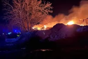 Десетки животни изгоряха в пожар във ферма край Велико Търново