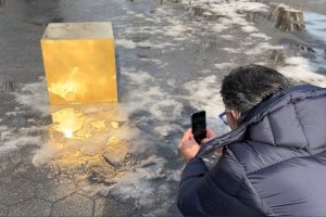 На 2 февруари разхождащите се в Сентръл парк в Ню Йорк може да