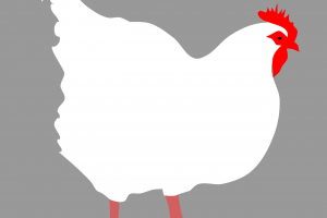 НА КАФЕ С ТВЪРДО ГОРИВО Руският посланик Н Пр Елеонора