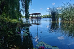 20 тона мъртва риба е извадена досега от язовир Засмяно