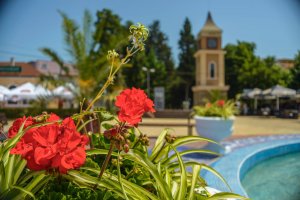 Президентът Румен Радев и правителството не може да се снишават