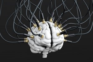 Тролската активност в интернет силно се ожесточи по време на