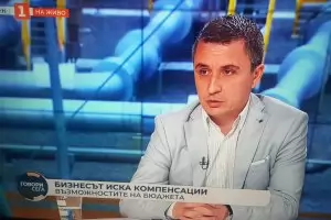 Ал. Николов: Газът в рубли щеше да е минимум с 11% по-скъп