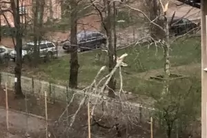 Враца обяви бедствено положение заради силния вятър