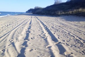 Снимка на пресни автомобилни следи върху пясъка се появи във