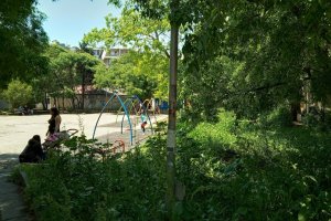 Ситуацията с неокосените градски градинки детски площадки паркове и другите