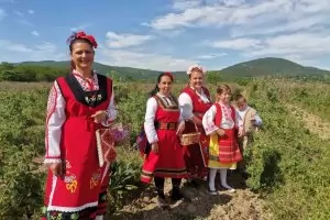 Розоберът в "оръжейната долина" тръгна без мераклии да берат