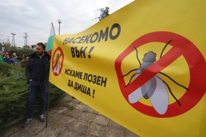 Червеи бръмбари мухи какавиди отглеждането и преработката на насекоми