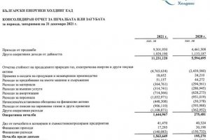 За 2021 г Българският енергиен холдинг БЕХ е отчел чиста