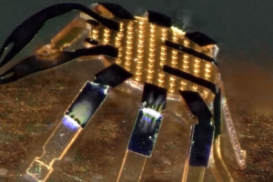 Екип от американски учени създаде най малкия робот с дистанционно управление