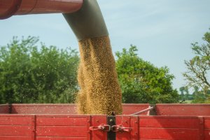 Износът на зърно от Украйна през април е паднал до