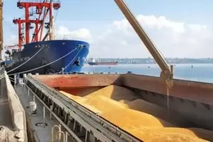 Експерти: Порт Варна не може да е хъб за износ на украинско зърно